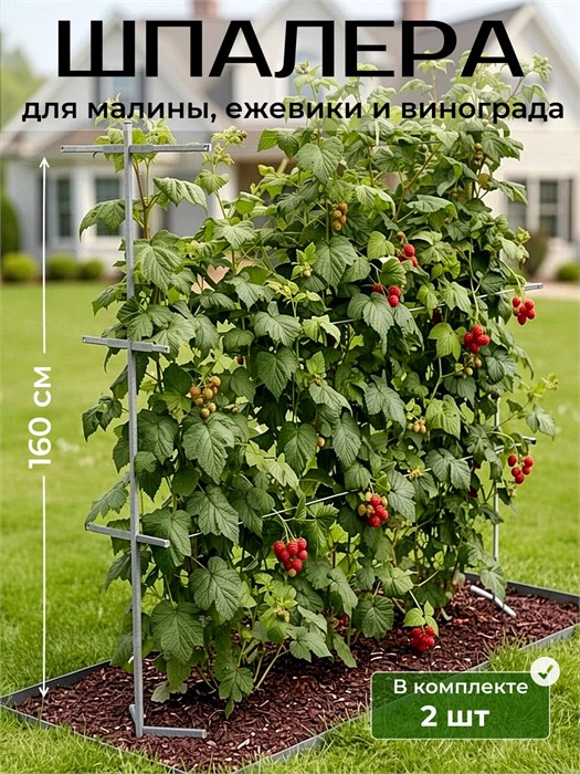 Шпалера садовая для для малины, ежевики, винограда, опора для растений ШП2
