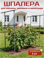 Шпалера садовая для для малины, ежевики, винограда, опора для растений ШП5
